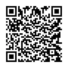 QR Code pour le numéro de téléphone +9519028530