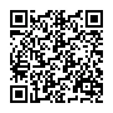 QR-Code für Telefonnummer +9519028867