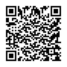 Codice QR per il numero di telefono +9519038041