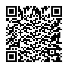 Codice QR per il numero di telefono +9519038133