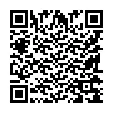 QR Code pour le numéro de téléphone +9519038197