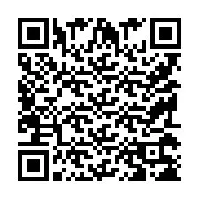 QR Code pour le numéro de téléphone +9519038281