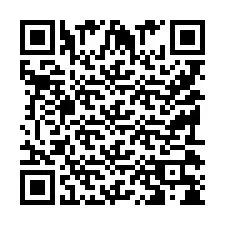 QR Code pour le numéro de téléphone +9519038404