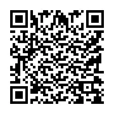 QR Code pour le numéro de téléphone +9519038504