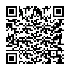 QR Code pour le numéro de téléphone +9519038534