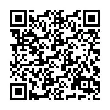 QR Code pour le numéro de téléphone +9519038913