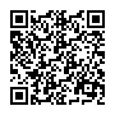 Codice QR per il numero di telefono +9519040004