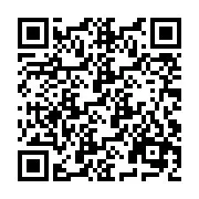 QR Code pour le numéro de téléphone +9519040022