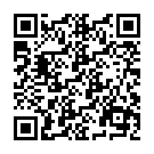 QR Code pour le numéro de téléphone +9519040256