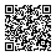 QR Code pour le numéro de téléphone +9519040611