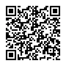 QR Code pour le numéro de téléphone +9525000919