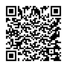 QR Code pour le numéro de téléphone +9567438783