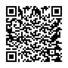 QR-Code für Telefonnummer +9567438787