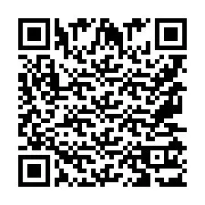 Codice QR per il numero di telefono +9567513109