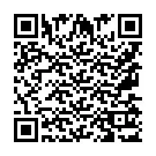 電話番号のQRコード +9567513120
