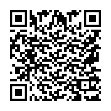 QR-Code für Telefonnummer +9567513192