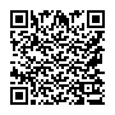 QR-code voor telefoonnummer +9567513332