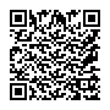 QR Code pour le numéro de téléphone +9567517101