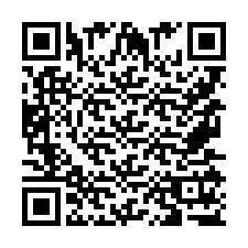 QR-Code für Telefonnummer +9567517747