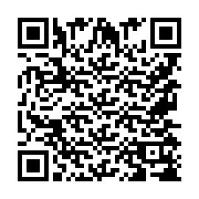 QR-koodi puhelinnumerolle +9567518736