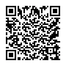 QR-Code für Telefonnummer +9567599119