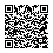 QR-Code für Telefonnummer +9596151691